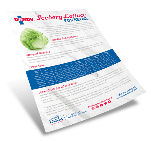 Duda-22_Iceberg-Retail_sellsheet_thumb