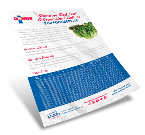Duda-22_Romaine-Foodservice_thumb