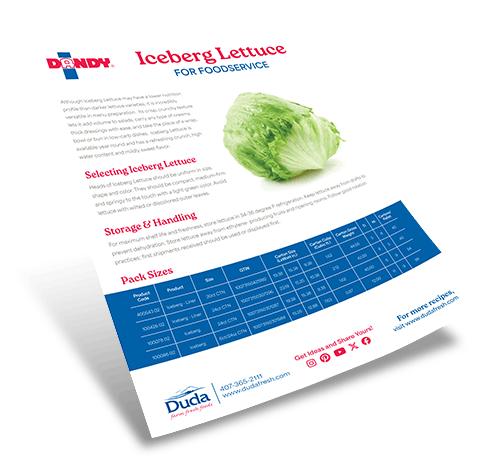 Iceberg Lettuce Foodservice Sell Sheet