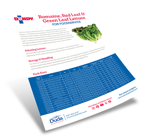 Romaine, Red Leaf & Green Leaf Lettuce Foodservice Sell Sheet
