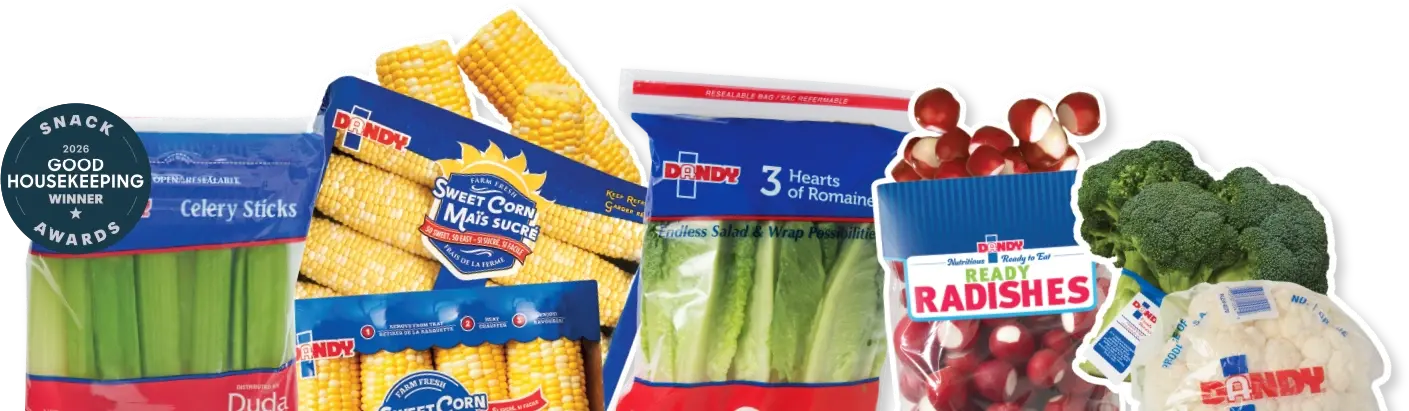 Dandy products, including Dandy Celery Sticks, which were a 2026 Good Housekeeping award winner
