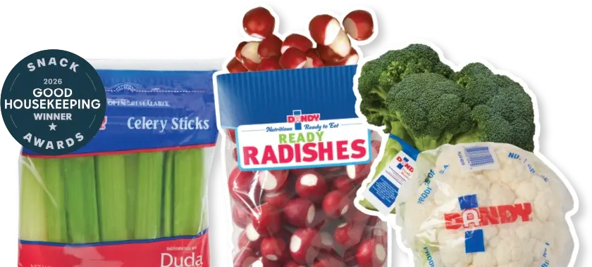 Dandy products, including Dandy Celery Sticks, which were a 2026 Good Housekeeping award winner
