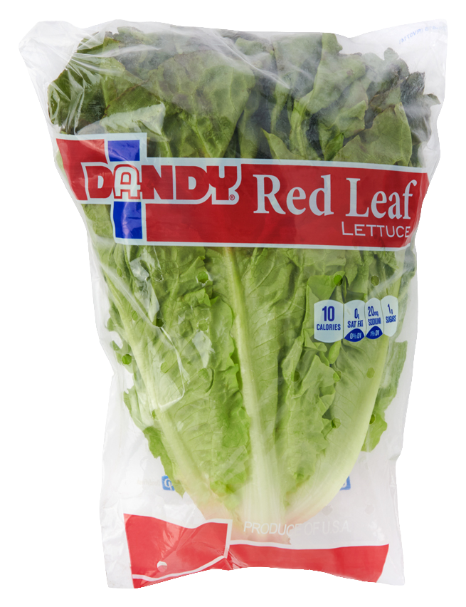 Red Leaf Lettuce