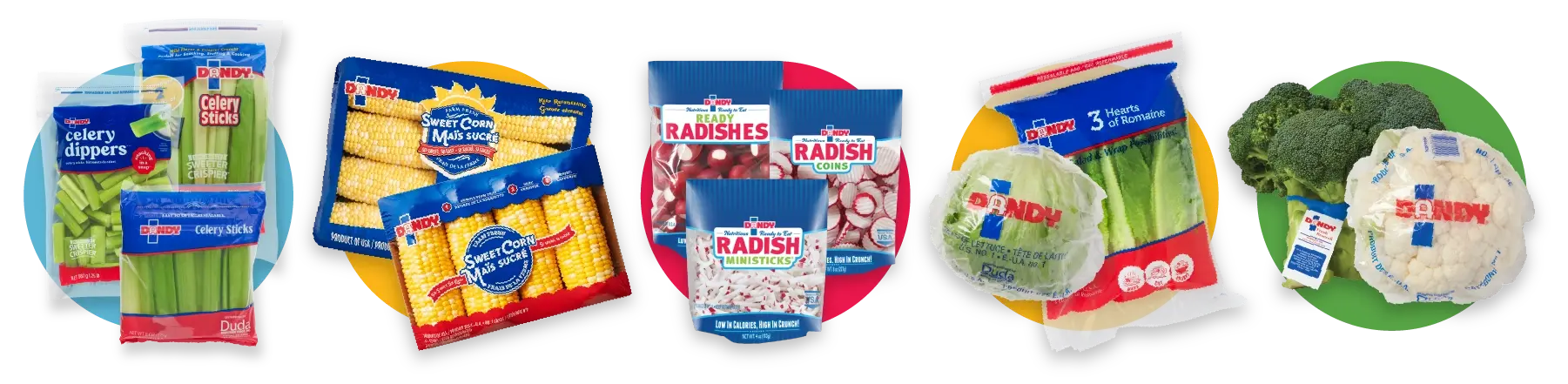 Dandy products lineup