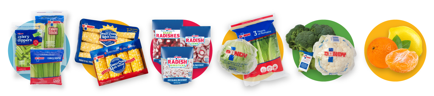 Dandy products lineup