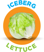 iceberg-lettuce