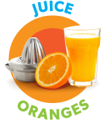 juice-oranges