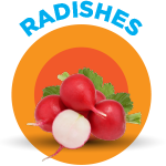 radishes